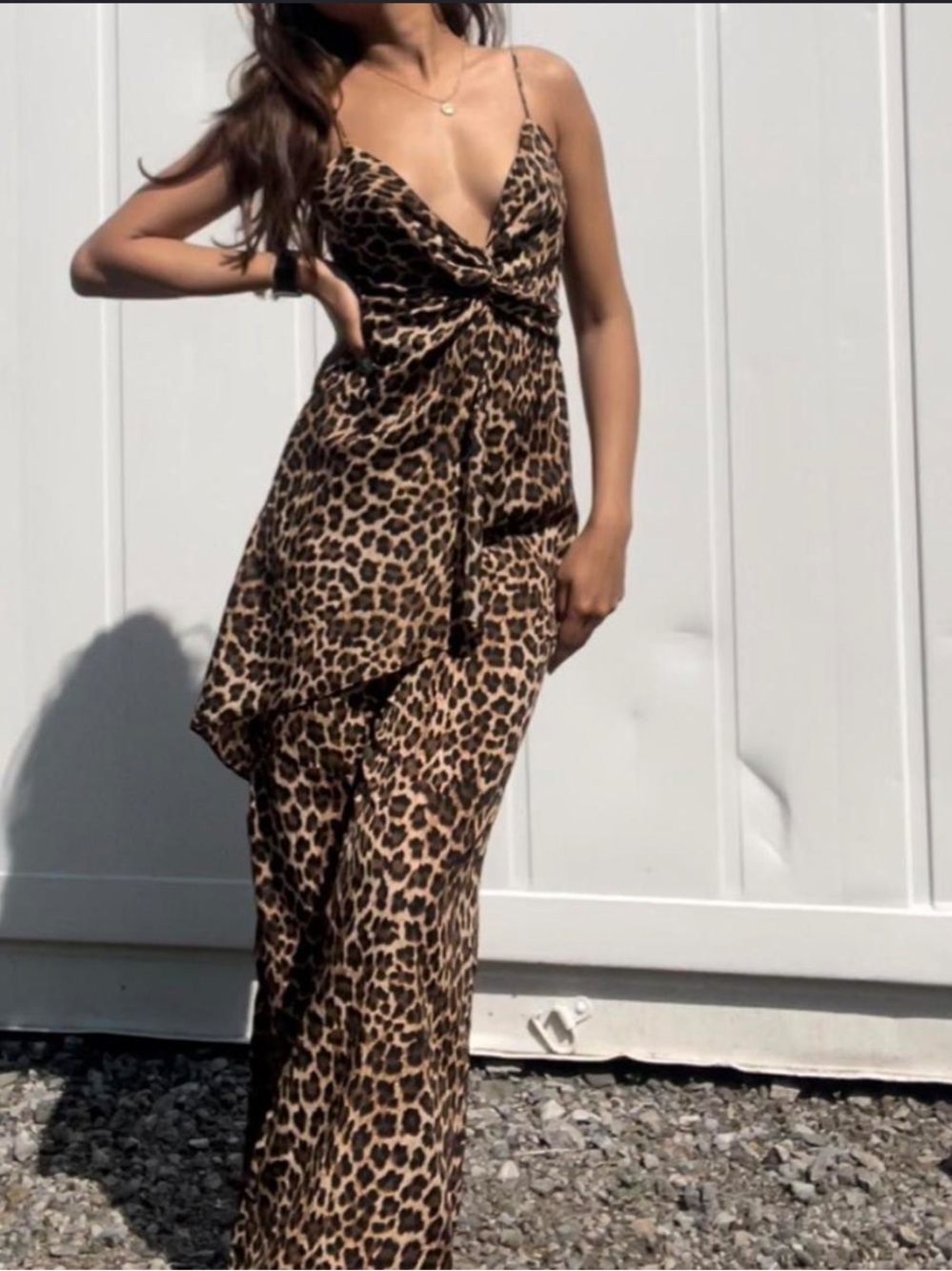 Zara Leopard Print Wide-Leg Jumpsuit - Brown/Black